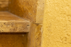 MG_2896-Kopie
